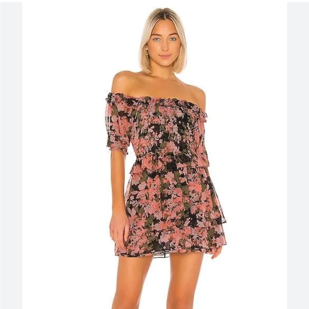 Misa Los Angeles Cela Mini Dress in Sunset Floral - Picture 3 of 9